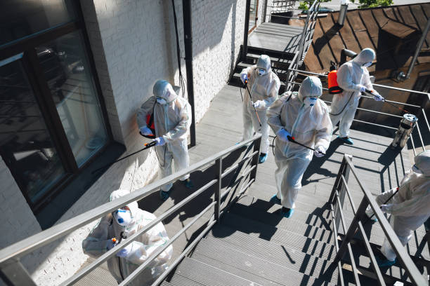 Best Basement Mold Removal  in Allendale, SC