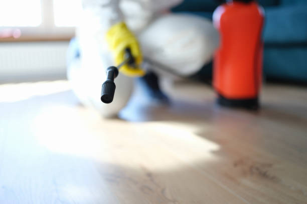 Trusted Allendale, SC Mold Removal Experts