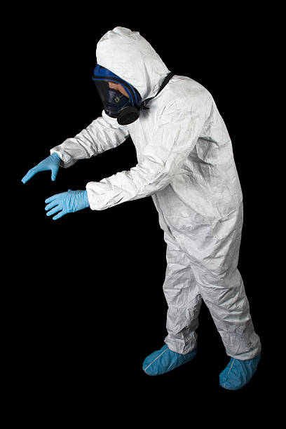 Best Attic Mold Removal  in Allendale, SC